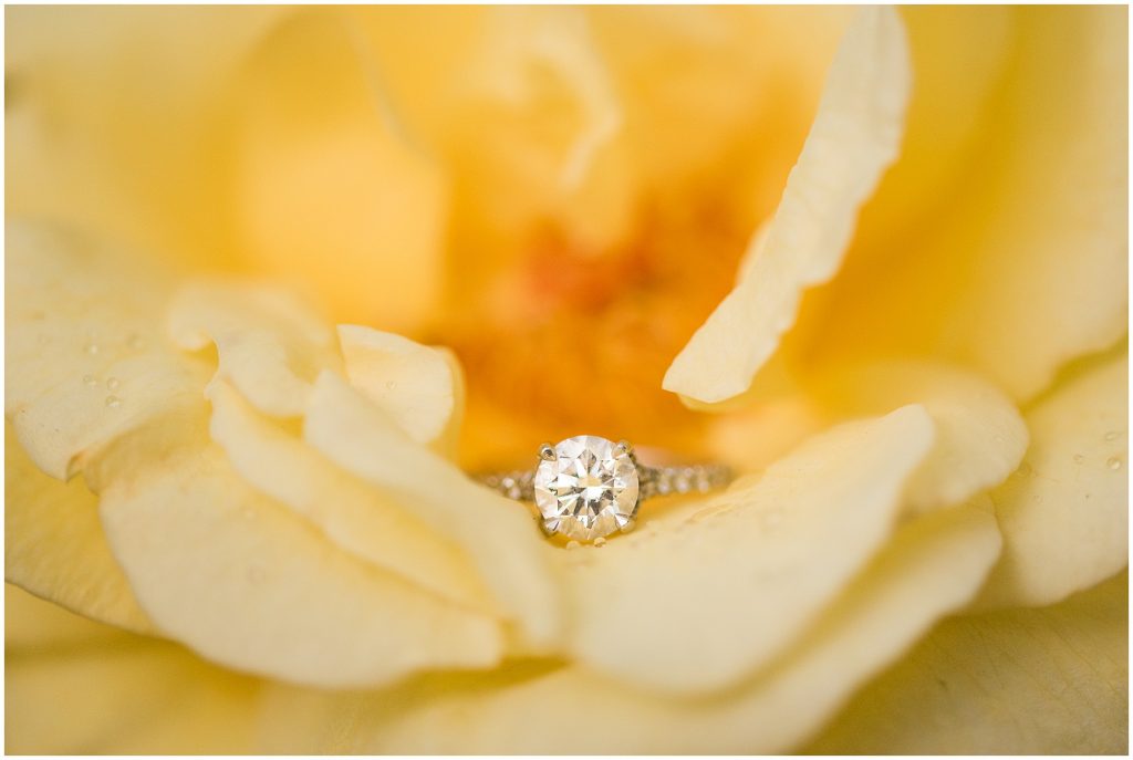 engagement ring in yellow flower at historic tredegar in Richmond Virginia